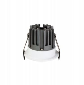 downlight (24)